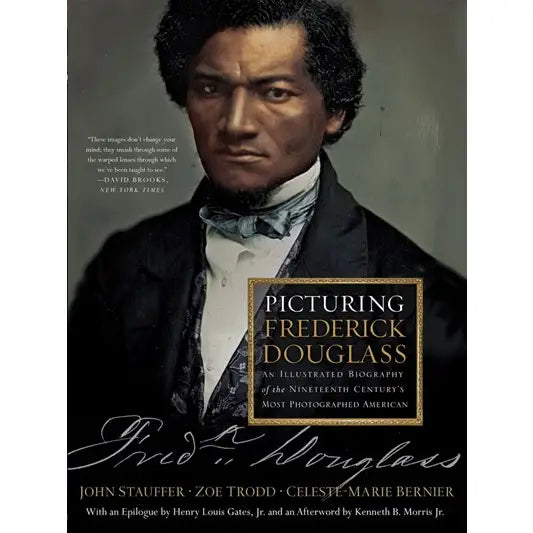 Picturing Frederick Douglass