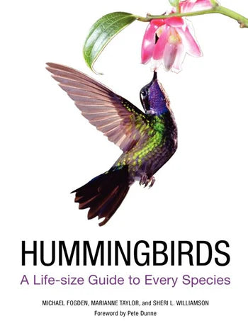 Hummingbirds A Life-size Guide to Every Species