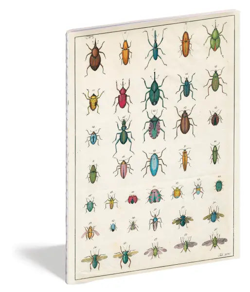 John Derian Paper Goods: In the Garden Notebooks