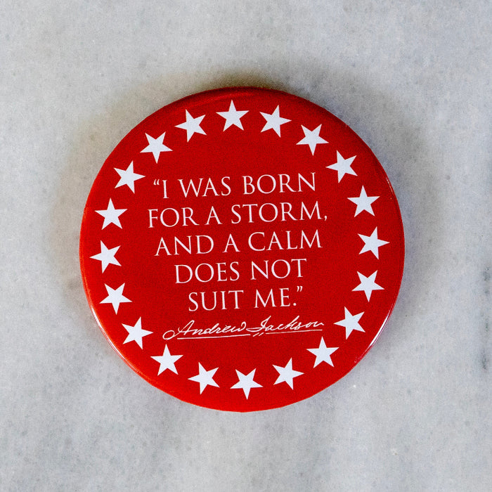 "I Was Born for A Storm" Magnet