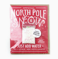 Snow Card - Mail A Snowball