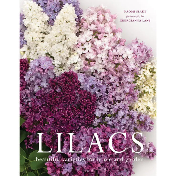 Lilacs: Beautiful Varieties For Home & Garden