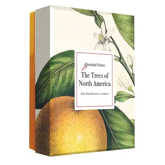 The Trees of North America Note Cards